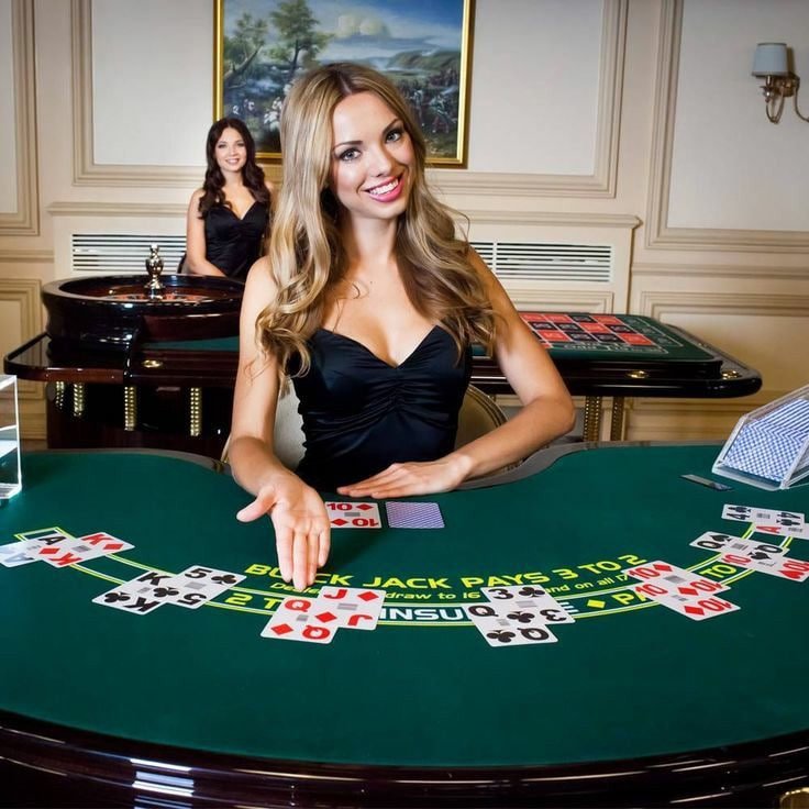 3666 bet apk