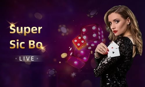 3666 bet apk